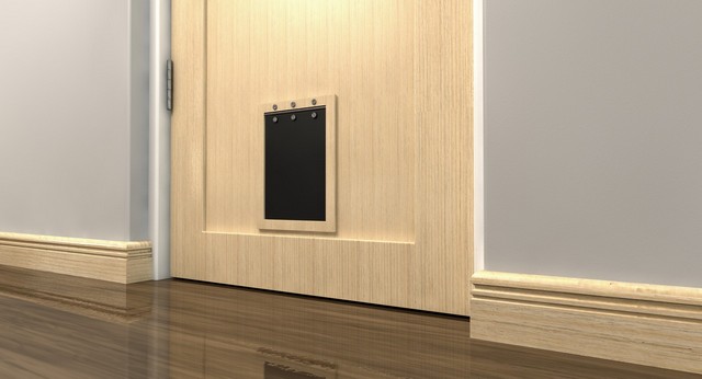 Cat Flap Installation Teddington, Fulwell, TW11