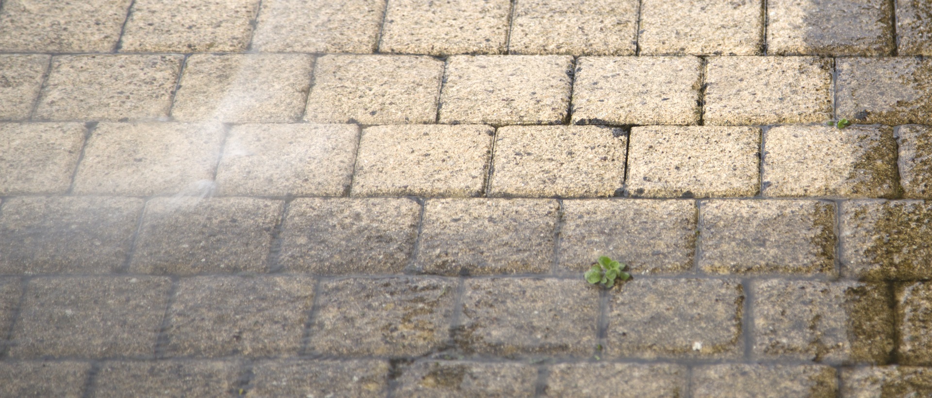 flagging and patios TW11