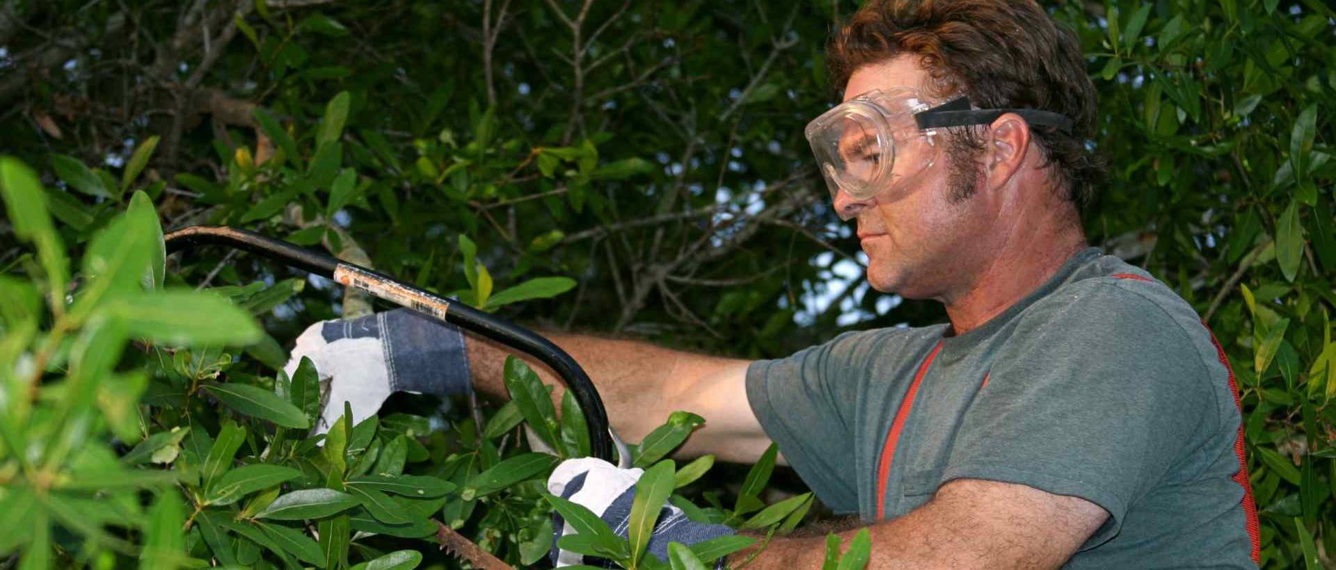 garden clearance TW11